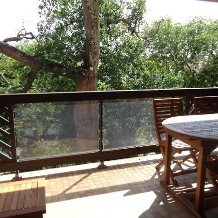 Apartman Studio Confortable Avec Balcon, Parking Prive Et Wi-Fi, A 200M De La Plage D'Eyrac - Fr-1-374-93 *