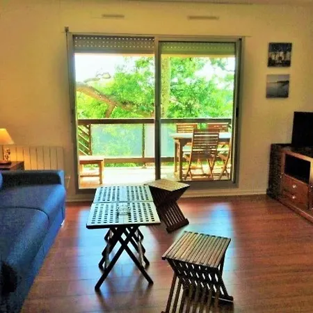 Arcachon, 1 Piece, 4 Personnes - Fr-1-374-93 *